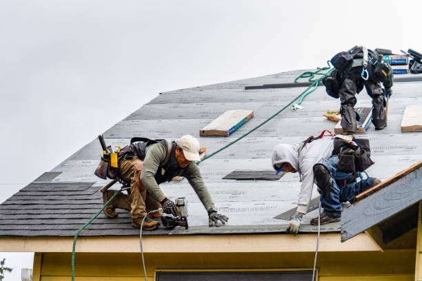 Professional Gutter Installation technician working in Dallas, TX